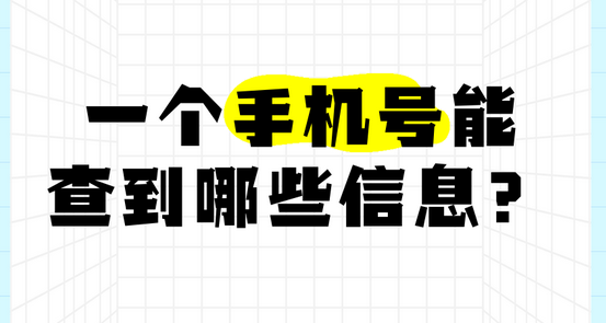 手机号入网信息查询